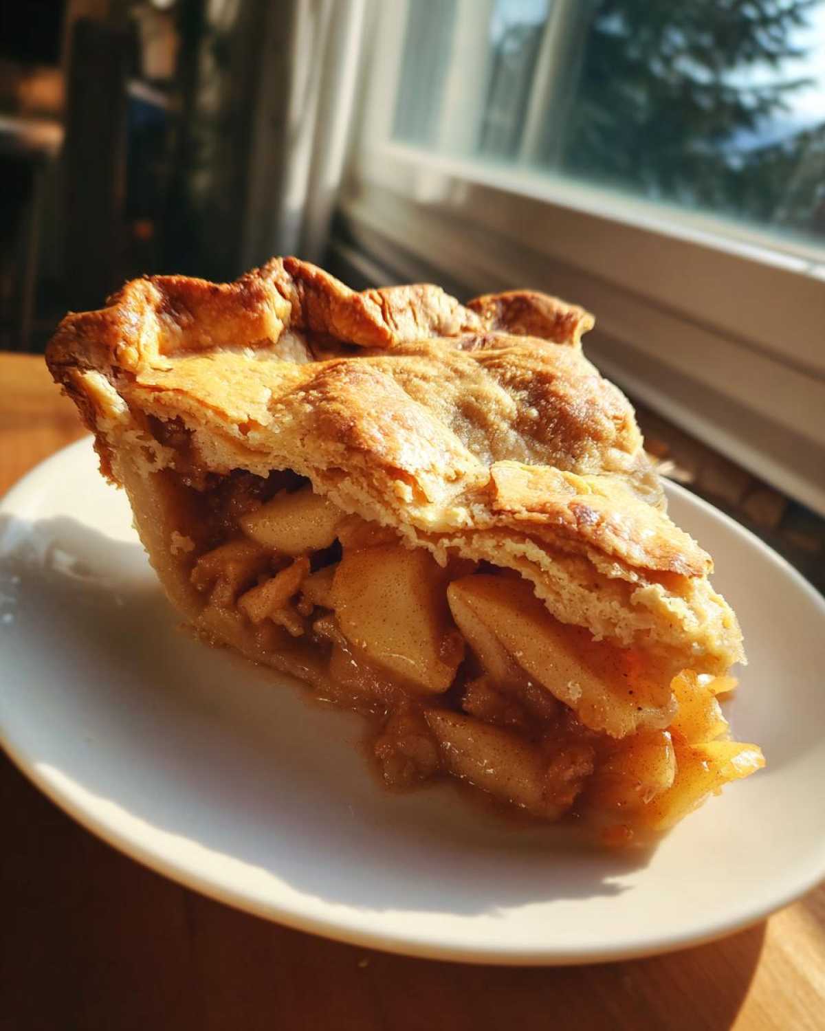 A slice of homemade apple pie with a golden crust sits on a white plate, showcasing the delicious apple filling.