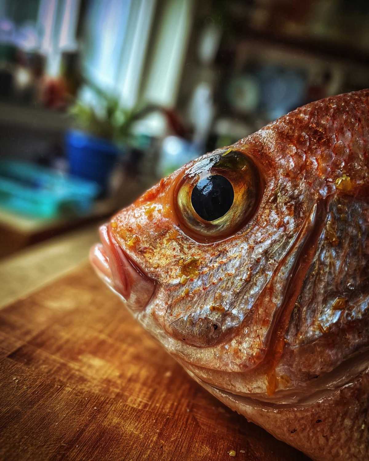 Detailed close-up of Garlic Butter Baked Tilapia head on a wooden surface, showing texture and color.